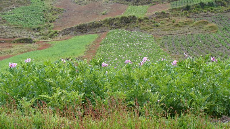 Illampu Trek Steves (185).JPG